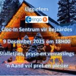 Christmas Light Festival | Cloc-In Aged Care Centre