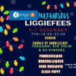 Christmas Light Festival | Najaarsrus Aged Care Centre